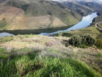 /album/galeria-de-fotos-beira-alta/a2376a5adc1c2a596b0066e7edadad05f-jpg/