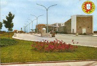 /album/galeria-de-fotos-beira-alta/a427733-384169861610542-220556809-n-jpg/