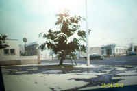 /album/galeria-de-fotos-beira-alta/a524239-297562273652106-2101705701-n-jpg/