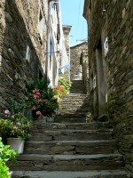 /album/galeria-de-fotos-beira-alta/a545388-521244997914754-61462179-n-jpg/