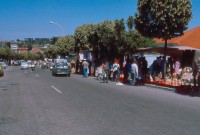 /album/galeria-de-fotos-beira-alta/a575528-387288151292162-1492586607-n-jpg/