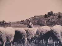 /album/galeria-de-fotos-beira-alta/a14130472-d8ahj-jpg/