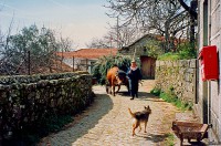 /album/galeria-de-fotos-beira-alta/a16968375-jpg/