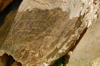 /album/galeria-de-fotos-beira-alta/a40273909-jpg/