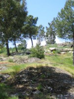 /album/galeria-de-fotos-beira-alta/beira-alta-jpg1/