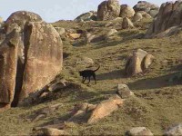 /album/galeria-de-fotos-beira-alta/guarda11-jpg/