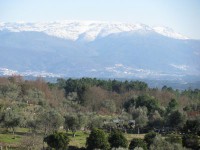 /album/galeria-de-fotos-beira-alta/img-1411-jpg/