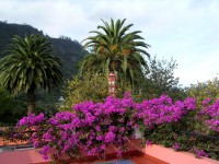 /album/galeria-de-fotos-beira-alta/madeira1187271446-jpg/