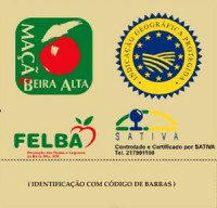 /album/galeria-de-fotos-beira-alta/marca-certificacao-caixa-beira-alta-jpg/