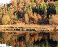 /album/galeria-de-fotos-beira-alta/penalva-jpg/