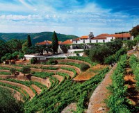 /album/galeria-de-fotos-beira-alta/portugal-lead-jpg/