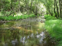/album/galeria-de-fotos-beira-alta/serra-da-malcata-jpg/