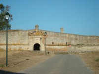 /album/galeria-de-fotos-almeida/a5vzbke7tmluzutimn6t7-jpg/
