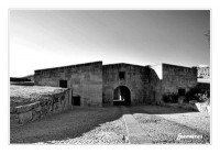 /album/galeria-de-fotos-almeida/dfr-jpg/