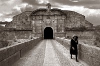 /album/galeria-de-fotos-almeida/fortaleza-de-almeida-jpg/