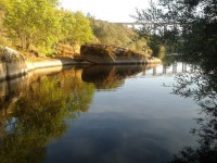 /album/galeria-de-fotos-castelo-bom/a284916-136752963134915-72672809-n-jpg/