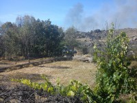 /album/galeria-de-fotos-castelo-bom/a293400-286857384659858-2013510545-n-jpg/