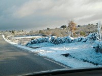 /album/galeria-de-fotos-castelo-bom/a319875-4492007258460-528367417-n-jpg/