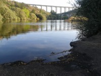 /album/galeria-de-fotos-castelo-bom/a426582-136753336468211-577520656-n-jpg/