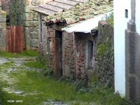 /album/galeria-de-fotos-castelo-bom/a482383-569682696383633-1640289903-n-jpg/