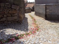 /album/galeria-de-fotos-castelo-bom/a557219-425049747534211-423469987-n-jpg/