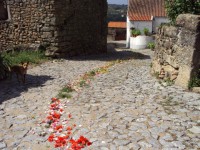 /album/galeria-de-fotos-castelo-bom/a576033-425049987534187-590275442-n-jpg/