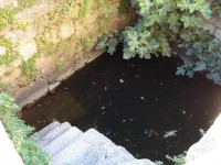 /album/galeria-de-fotos-castelo-bom/dsc01835-jpg/