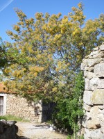 /album/galeria-de-fotos-castelo-bom/dsc03610-jpg/