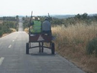 /album/galeria-de-fotos-castelo-bom/imagescasaln92-jpg/