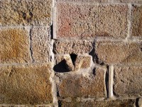 /album/galeria-de-fotos-castelo-bom/sacristia-jpg/